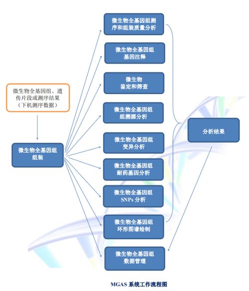 聚焦傳染病防控,碩世邀您共襄第14屆傳染病防控基礎(chǔ)研究與技術(shù)應(yīng)用學術(shù)交流會