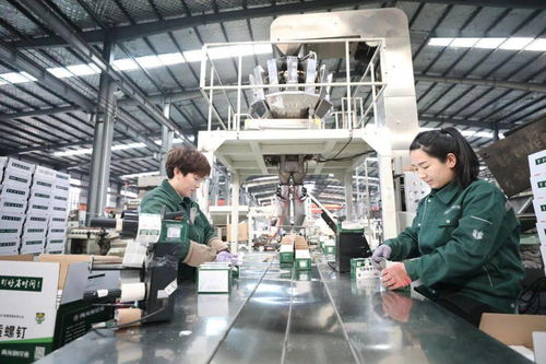 強(qiáng)勢霸屏 中央主流媒體聚焦邢臺工程與技術(shù)創(chuàng)新